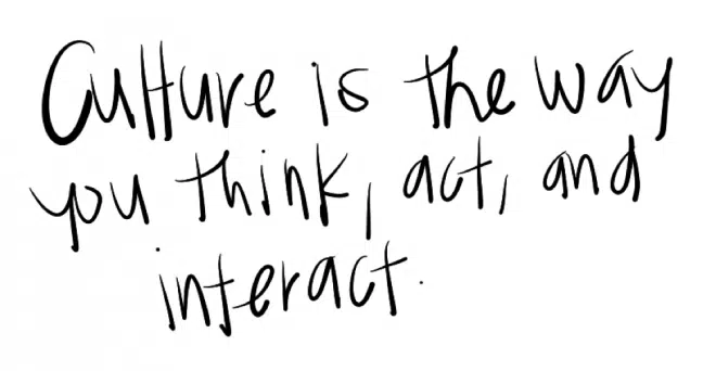 Culture definition: Culture is the way you think, act and interact