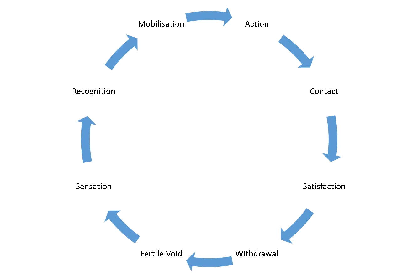 The cycle of experience in Gestalt therapy identifies the stages from the moment of experiencing a sensation to being in full contact to then being ready for a new experience.