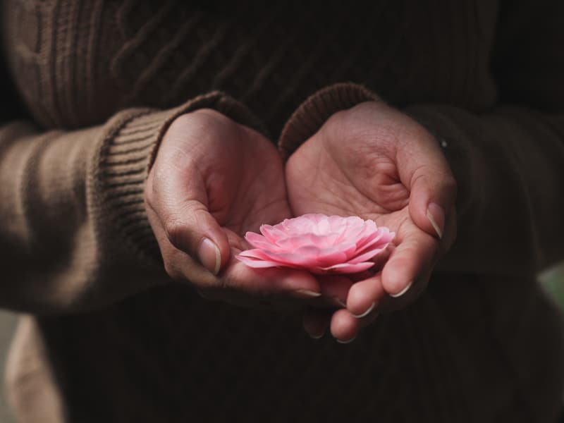 A flower cupped in a woman's hand - an image of self concept and acceptance