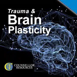 Trauma and Brain Plasticity lecture summary featured image - Plasticity represents a common ground for psychotherapists and neurologists, bringing together the structure/working of the brain with emotions.