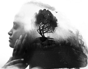 Carl Rogers and Person-Centred Theory Carl Rogers and Person-Centred Theory - An image of a woman in profile with a thriving tree superimposed on the image