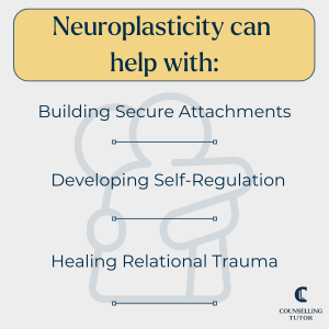 Text graphic highlighting benefits of neuroplasticity in therapy: building secure attachments, developing self-regulation, and healing relational trauma.
