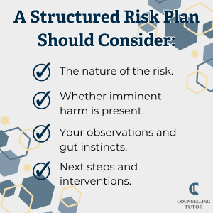 An infographic titled “A Structured Risk Plan Should Consider:” with a checklist of four items: the nature of the risk, whether imminent harm is present, your observations and gut instincts, and next steps and interventions.