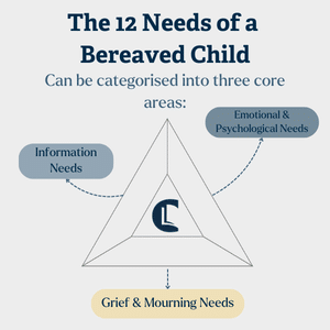 Triangle diagram categorising the 12 core needs of a bereaved child into information, emotional, and mourning-related needs.