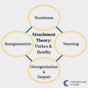 Diagram showing Parkes and Bowlby’s attachment theory of grief, including numbness, yearning, disorganisation and despair, and reorganisation.